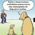 A więc to tak