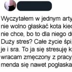Zestresowany panicz