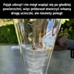 Pająk