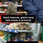 Zakupy