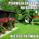 Impreza na działce