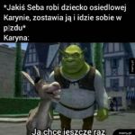 Na moim patoosiedlu parę takich Karyn jest