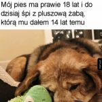 Wzrusz