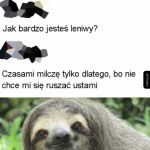 Bardzo