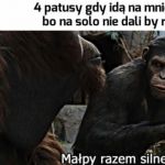 Typowe