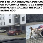 Karma