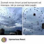 Tarcza przed komarami