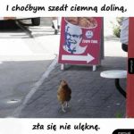 Tytuł