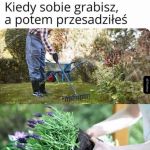 Sucharek ogrodniczy