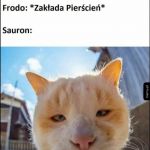 Władca pierścieni