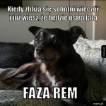 Ostro
