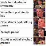 Perfekcyjnie