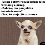 Solidne doświadczenie