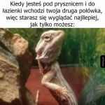 Jaszczur