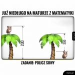 Matura po szkolnictwie Czarnka i Nowackiej