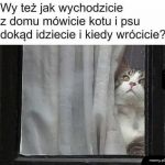 Nie