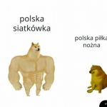 Polska siatkówka