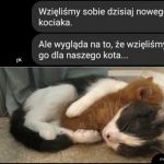 Adopcja