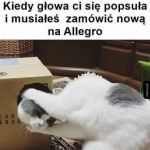 Kitku
