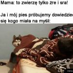 No ciekawe