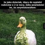Kaczka