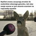 Szanse rosną