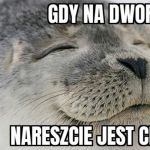 Nareszcie