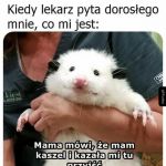 Wizyta