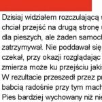 Bardziej wychowany od ludzi