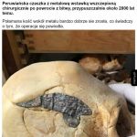 Czaszka z wstawką