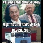 Różnica spora