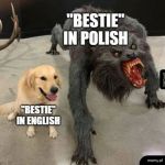 Bestie