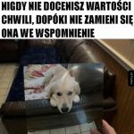 Niestety tak jest
