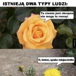 Prawda