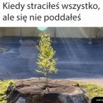 Głowa do góry