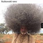 Rutkowski