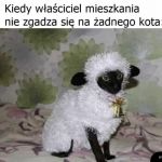 Kamuflaż