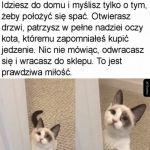 Lepiej kupować na zapas