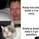Pobudka