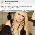 Pozostaje gąbka Scolymastra joubini