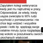 Za mocne