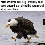 Epickie zdjęcie