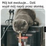Można