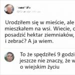 Ekspert się znalazł