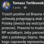 Terlikowski
