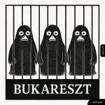 Biedne Buki xD