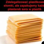 Ekologia