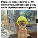 Wybór jest nieoczywistym