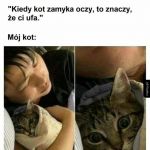 Zaufanie