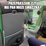 Pasażer